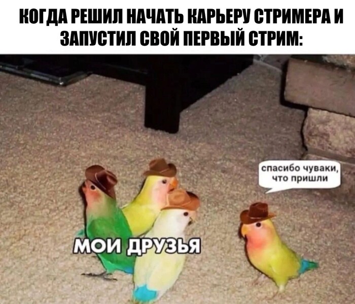Кибербезопасность при ведении стримов: как не слить всё в прямом эфире